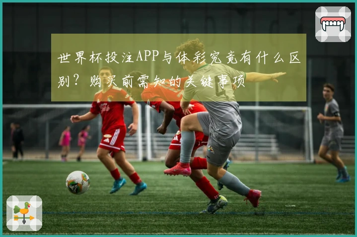 世界杯投注APP与体彩究竟有什么区别？购买前需知的关键事项