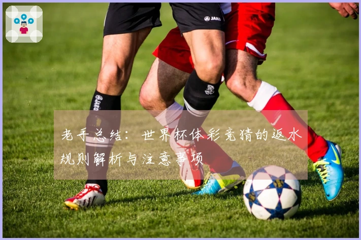 老手总结：世界杯体彩竞猜的返水规则解析与注意事项