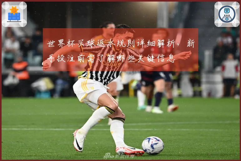 世界杯买球返水规则详细解析，新手投注前需了解哪些关键信息