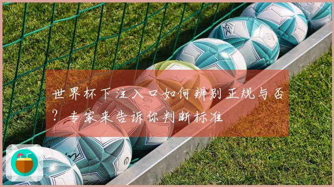世界杯下注入口如何辨别正规与否？专家来告诉你判断标准