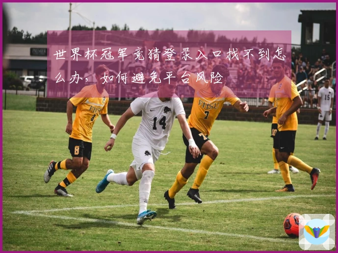 世界杯冠军竞猜登录入口找不到怎么办，如何避免平台风险