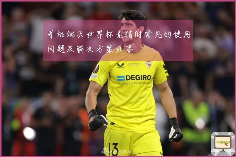 手机端买世界杯竞猜时常见的使用问题及解决方案分享