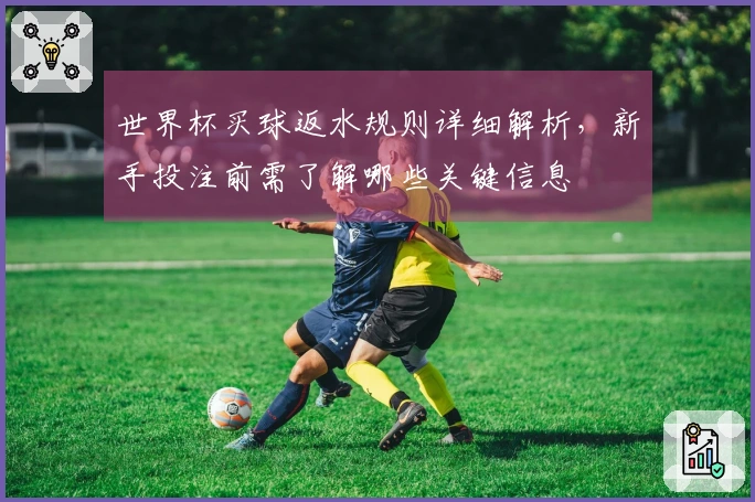 世界杯买球返水规则详细解析，新手投注前需了解哪些关键信息
