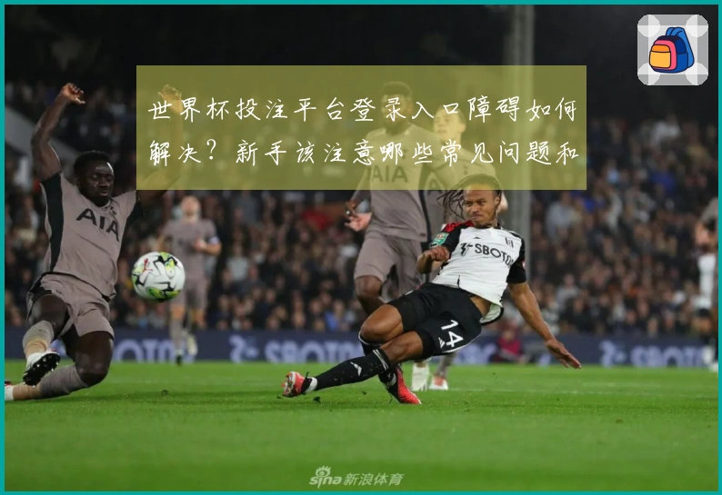 世界杯投注平台登录入口障碍如何解决？新手该注意哪些常见问题和技巧