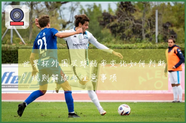 世界杯外围买球赔率变化如何判断？规则解读与注意事项