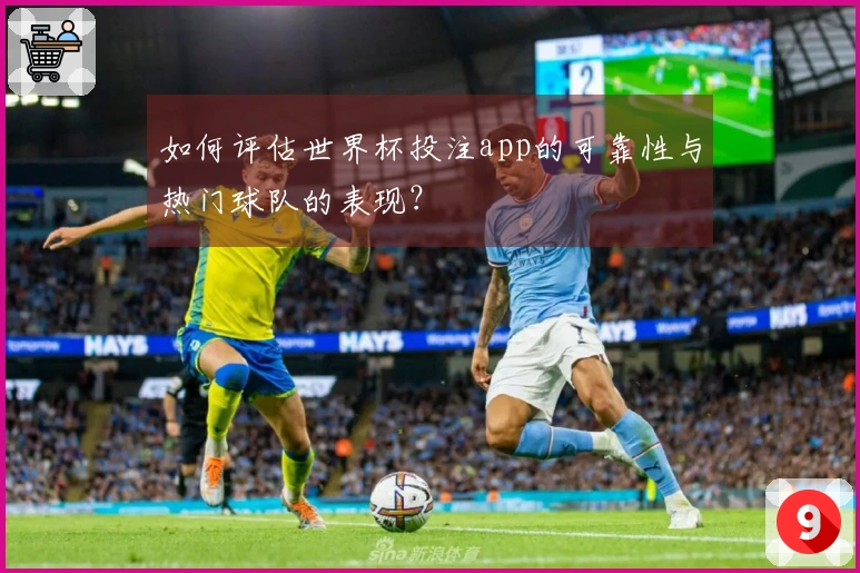 如何评估世界杯投注app的可靠性与热门球队的表现？