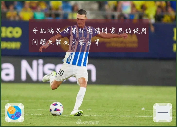 手机端买世界杯竞猜时常见的使用问题及解决方案分享