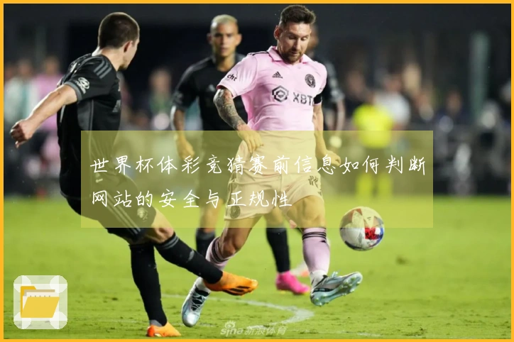 世界杯体彩竞猜赛前信息如何判断网站的安全与正规性