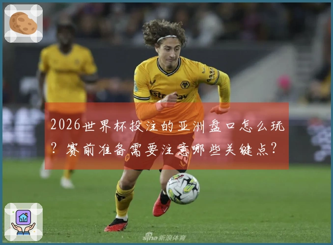 2026世界杯投注的亚洲盘口怎么玩？赛前准备需要注意哪些关键点？
