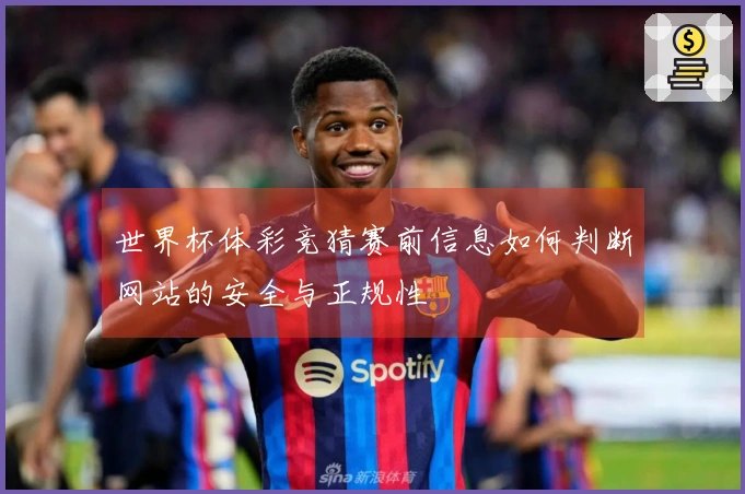 世界杯体彩竞猜赛前信息如何判断网站的安全与正规性