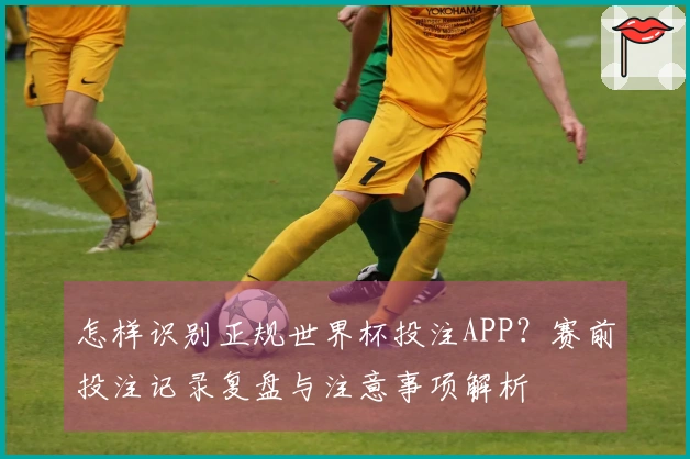 怎样识别正规世界杯投注APP？赛前投注记录复盘与注意事项解析