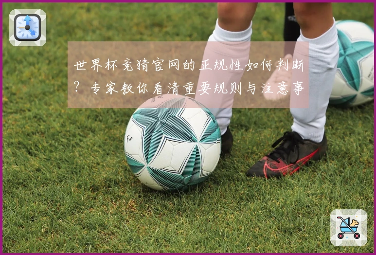 世界杯竞猜官网的正规性如何判断？专家教你看清重要规则与注意事项