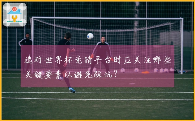 选对世界杯竞猜平台时应关注哪些关键要素以避免踩坑？