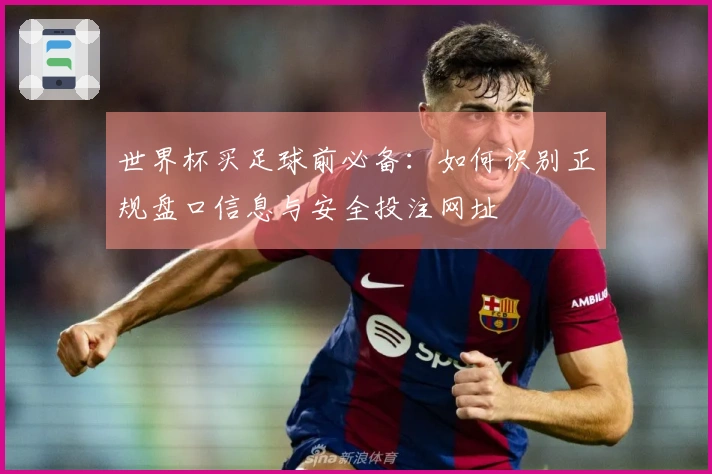 世界杯买足球前必备：如何识别正规盘口信息与安全投注网址