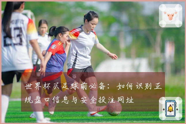 世界杯买足球前必备：如何识别正规盘口信息与安全投注网址