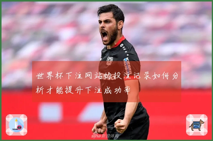世界杯下注网站的投注记录如何分析才能提升下注成功率