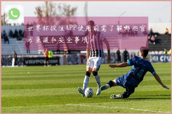 世界杯投注APP使用前需了解哪些官方渠道和安全事项