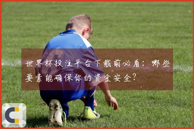 世界杯投注平台下载前必看：哪些要素能确保你的资金安全？