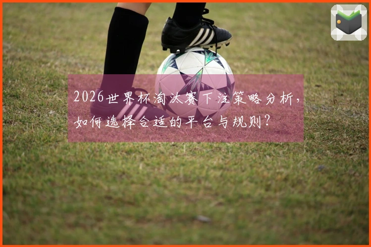 2026世界杯淘汰赛下注策略分析，如何选择合适的平台与规则？