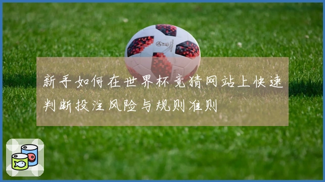 新手如何在世界杯竞猜网站上快速判断投注风险与规则准则