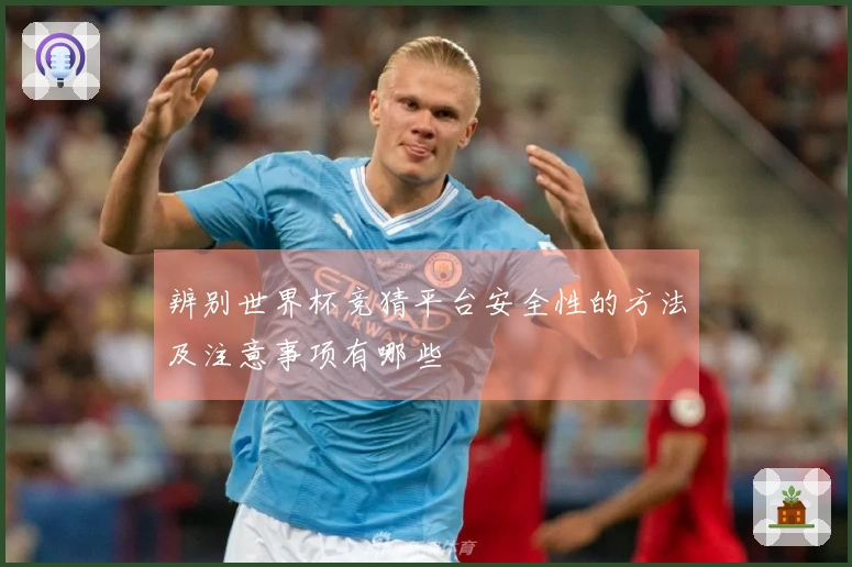 辨别世界杯竞猜平台安全性的方法及注意事项有哪些