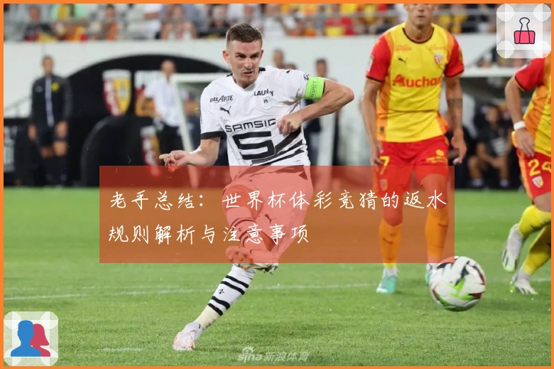 老手总结：世界杯体彩竞猜的返水规则解析与注意事项