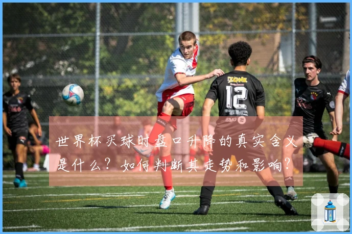世界杯买球时盘口升降的真实含义是什么？如何判断其走势和影响？
