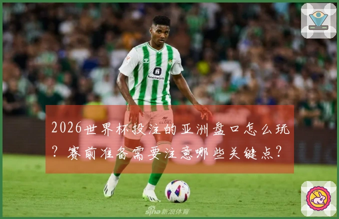 2026世界杯投注的亚洲盘口怎么玩？赛前准备需要注意哪些关键点？