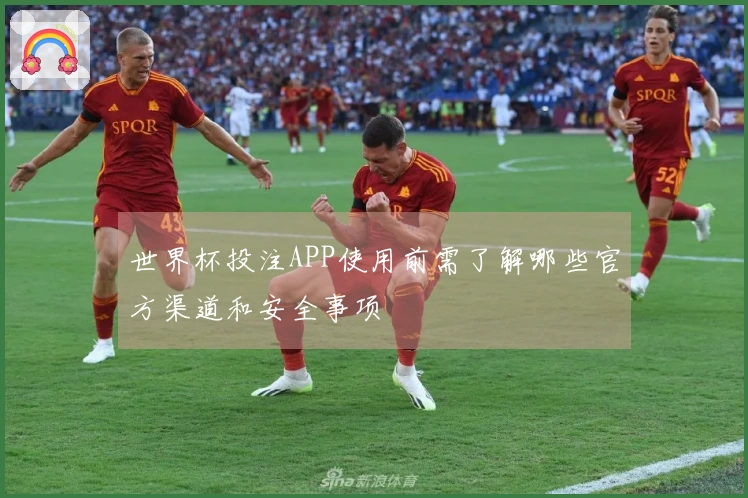 世界杯投注APP使用前需了解哪些官方渠道和安全事项