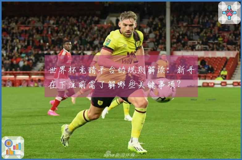 世界杯竞猜平台的规则解读：新手在下注前需了解哪些关键事项？