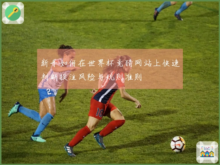 新手如何在世界杯竞猜网站上快速判断投注风险与规则准则
