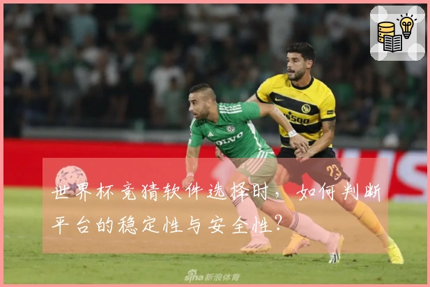 世界杯竞猜软件选择时，如何判断平台的稳定性与安全性？